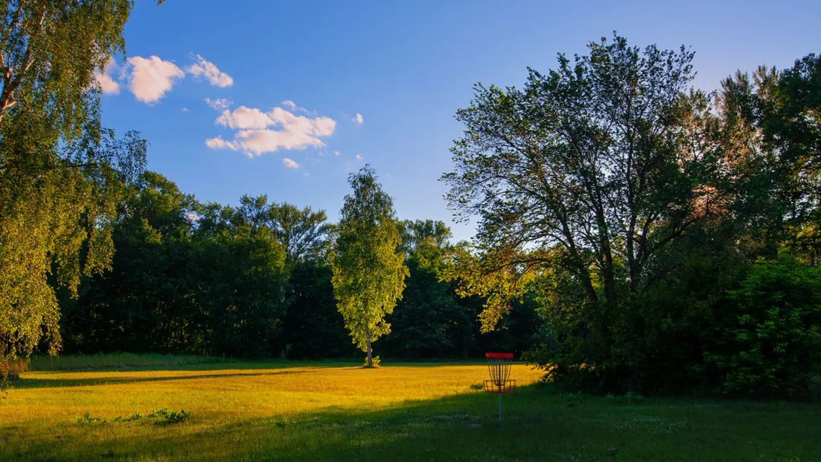 Comment construire un parcours de disc golf (et un panier maison)