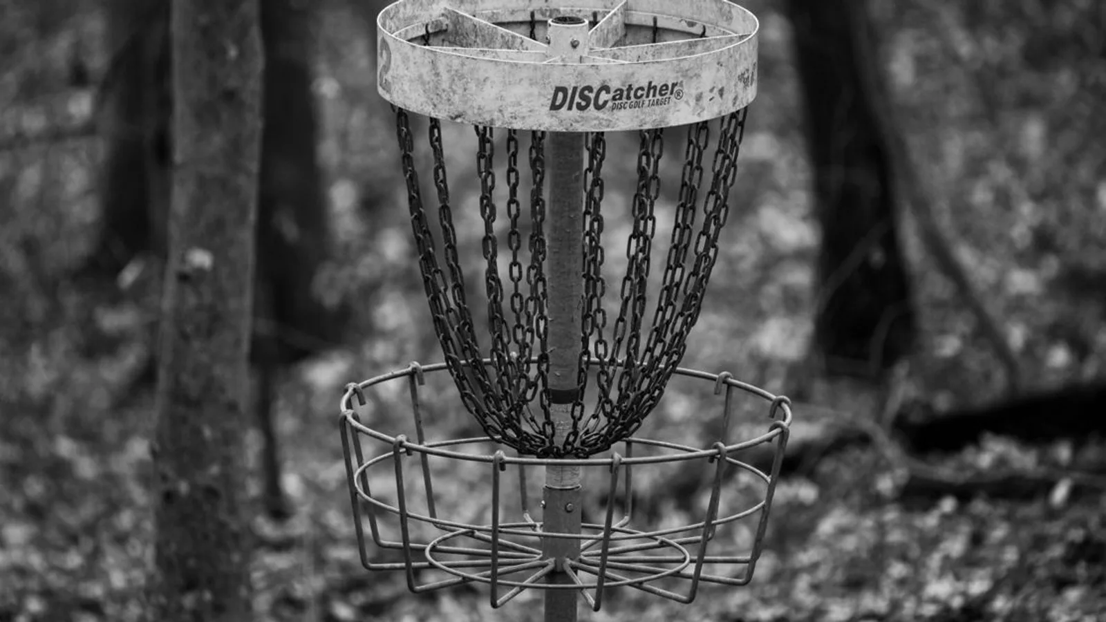 Comment compter les points au disc golf