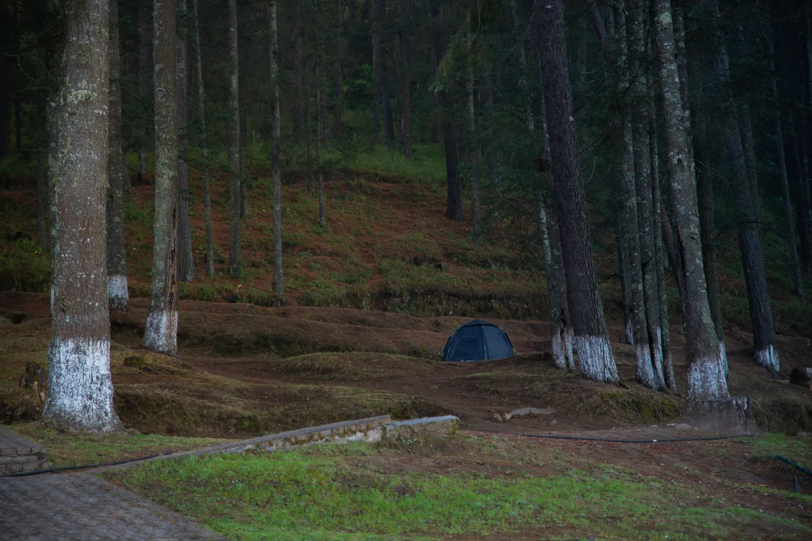 Camping Zec Jaro