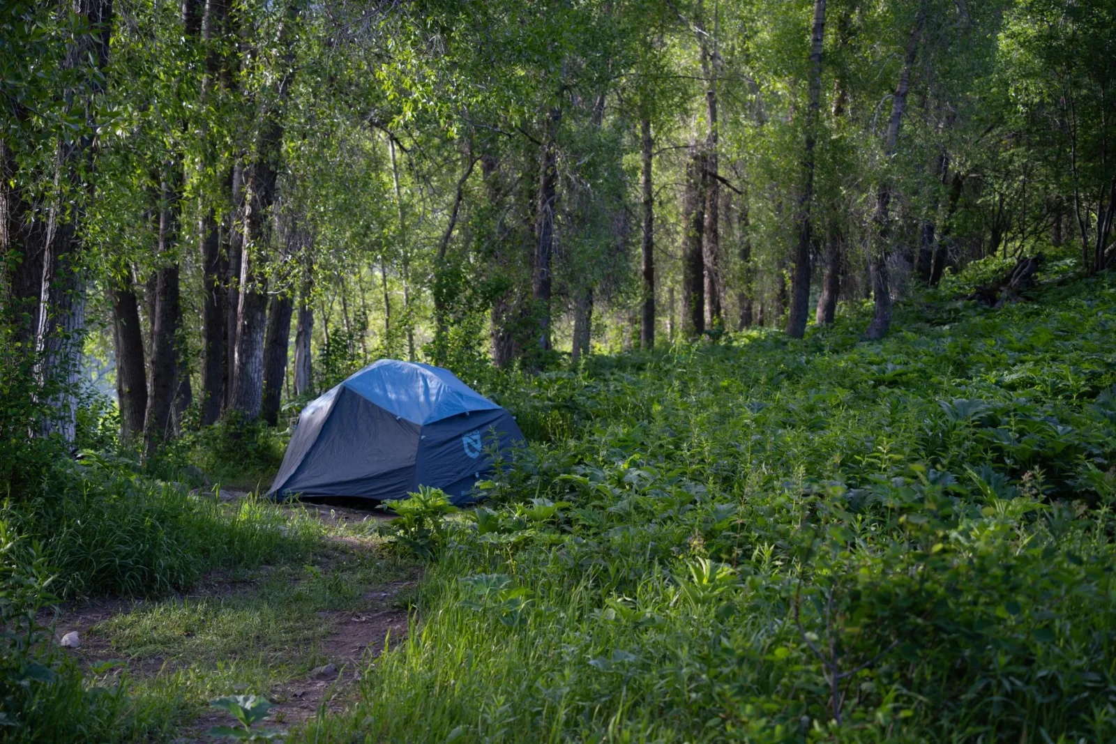 Coopérative de Plein-Air Rac