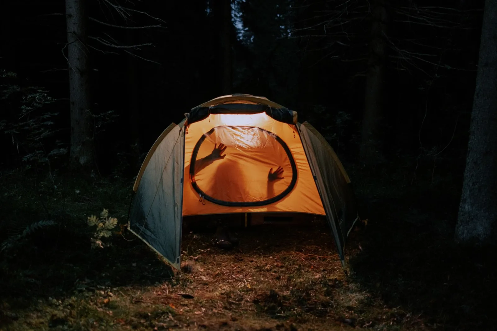 Camping du Parc Régional de la Forêt Ouareau
