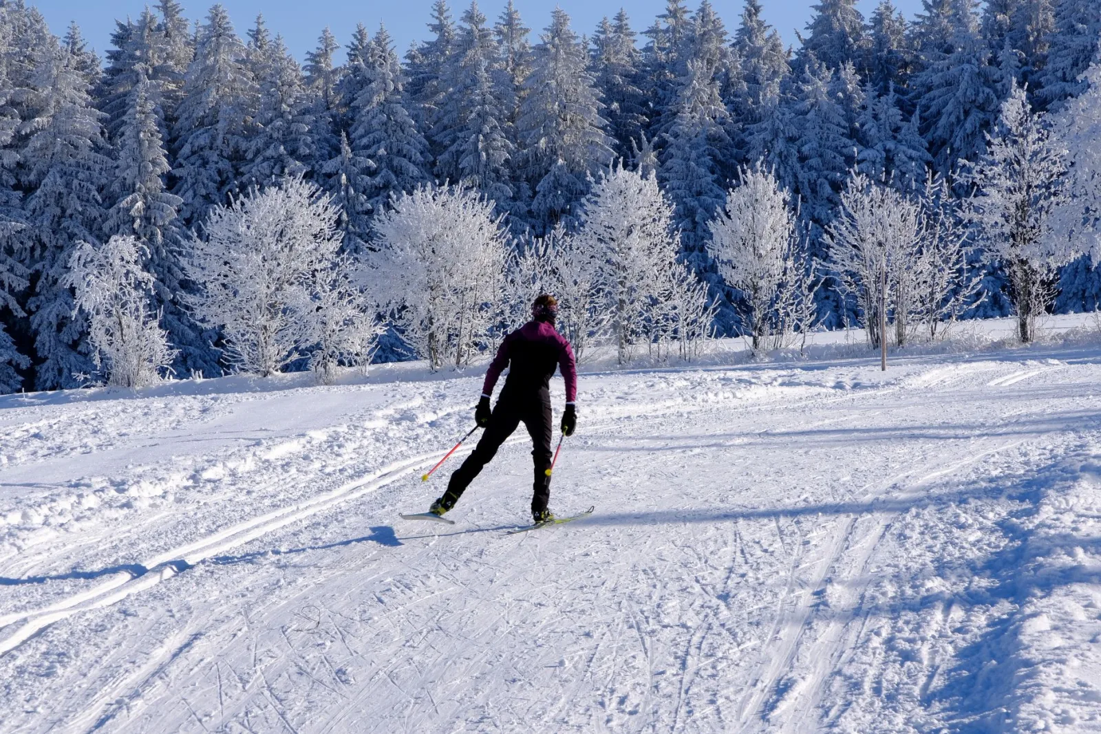 Activités Hivernales au Club de Golf Héritage