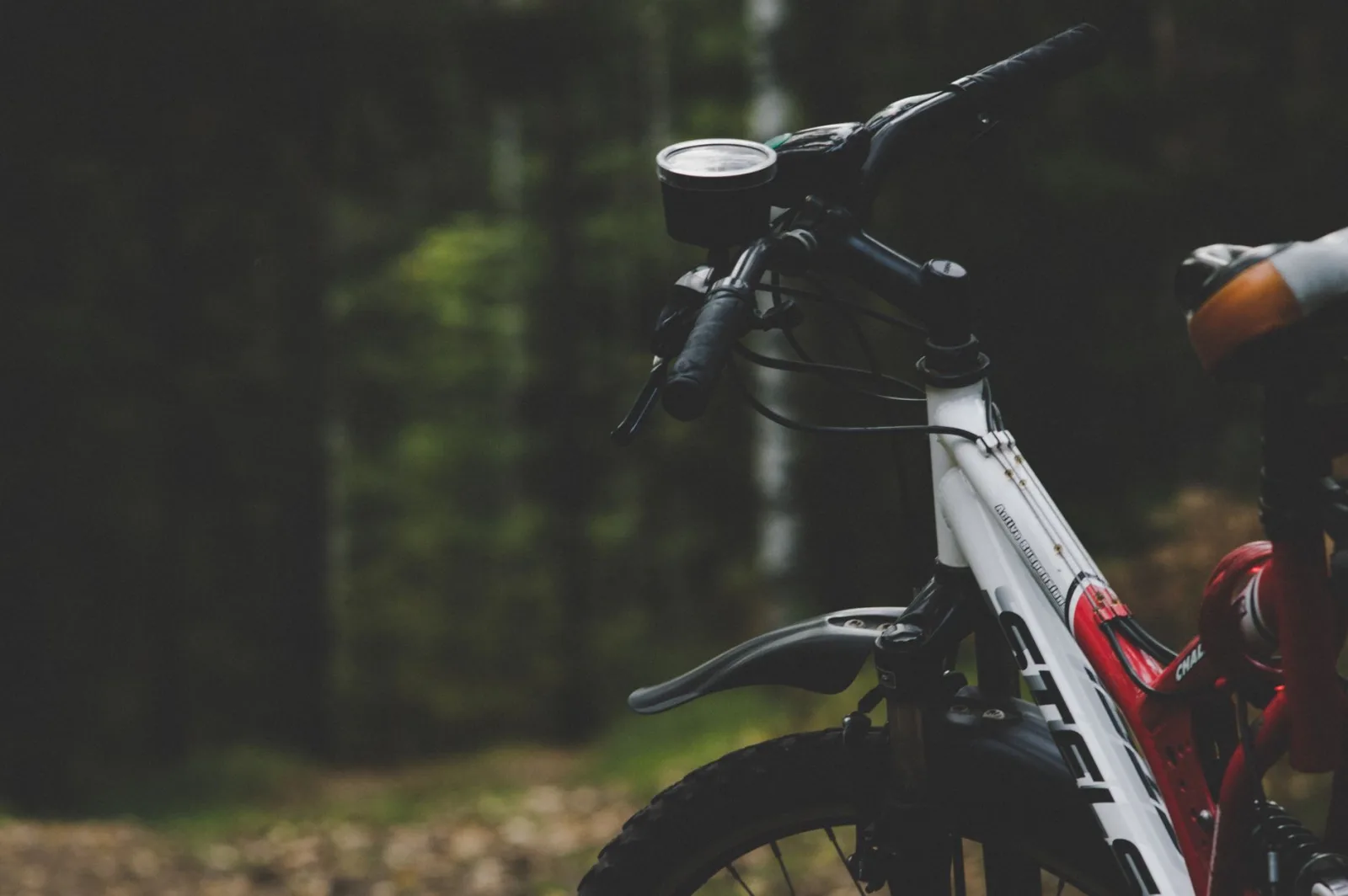 Piste du Parc National de la Yamaska / Vélo
